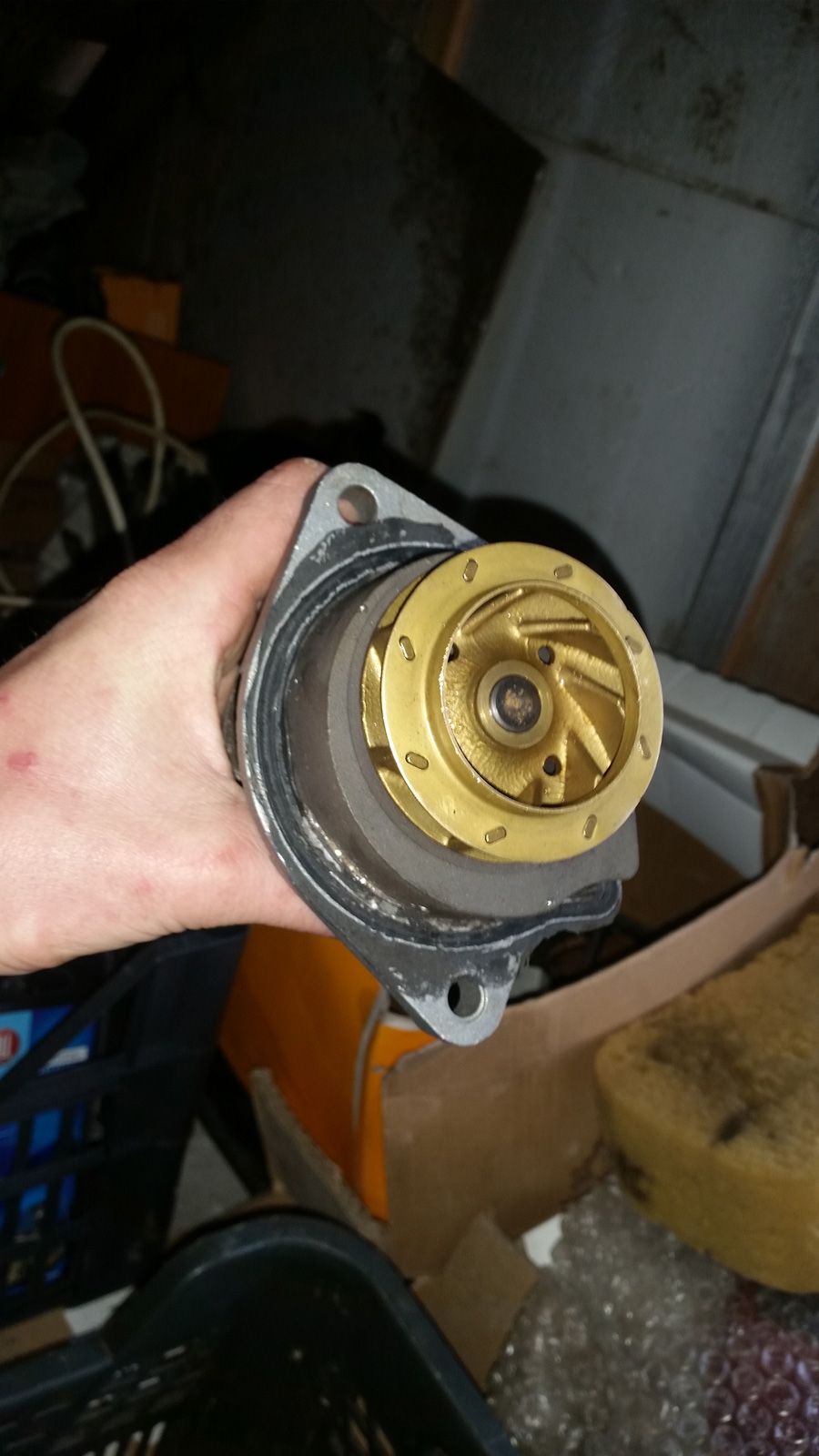 20160316_134205.jpg