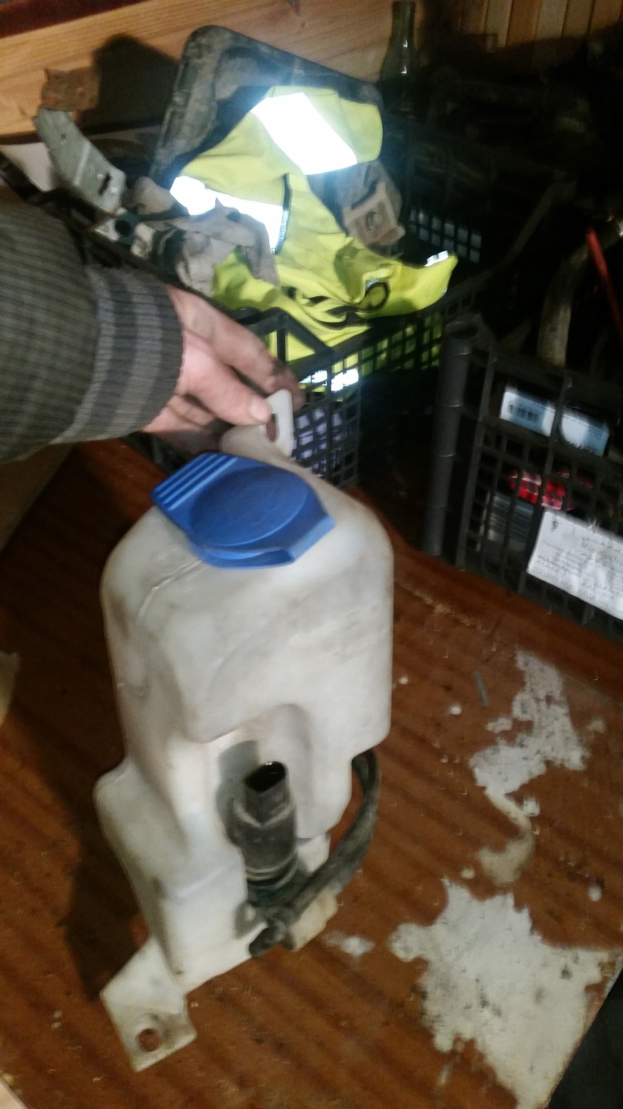 20160321_155612.jpg