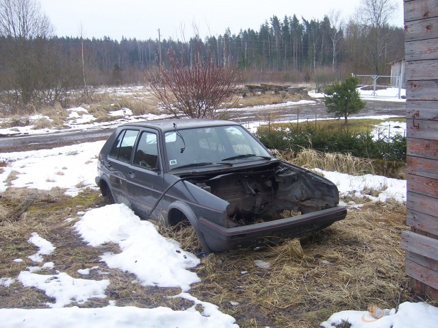 70__briva_laika_5.jpg
