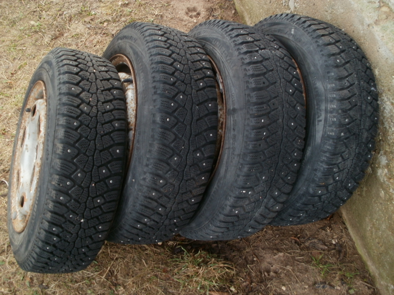 PC100082.JPG