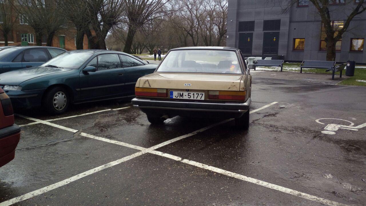 pieskolas3.jpg