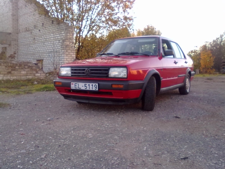 jetta 008.jpg