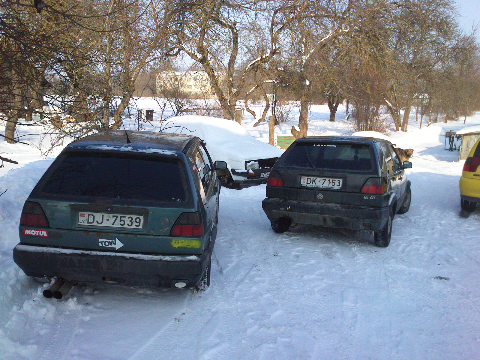 DSC_0031 (2).jpg