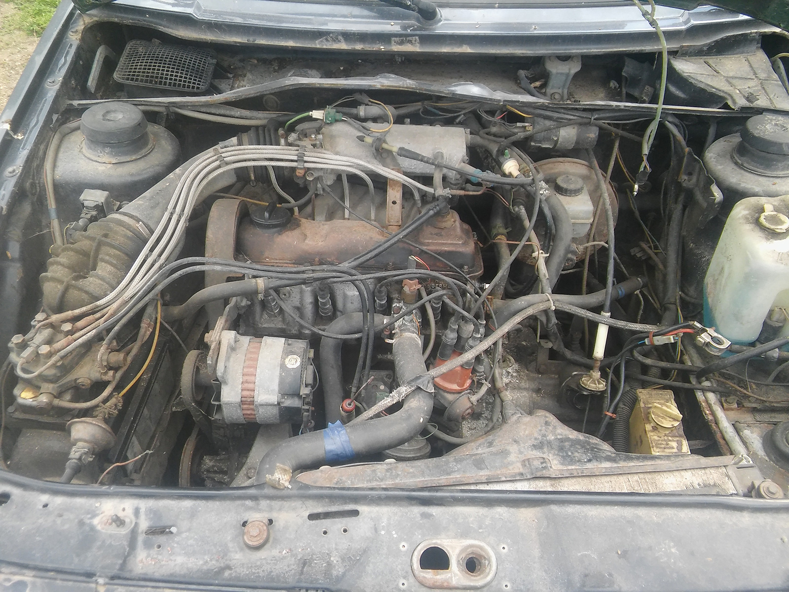 20170723_112555.jpg