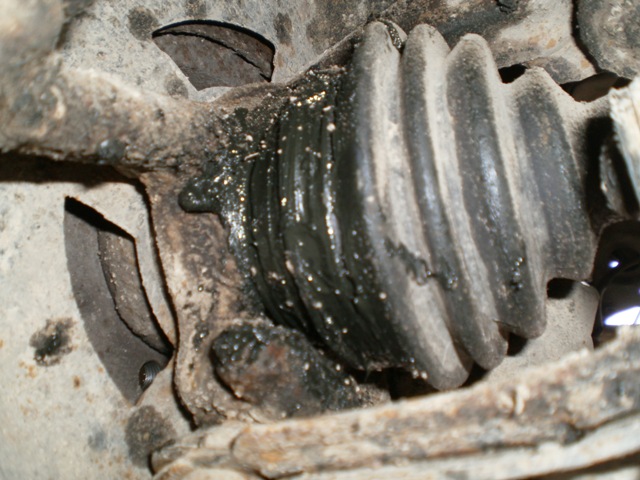 P1010023.JPG
