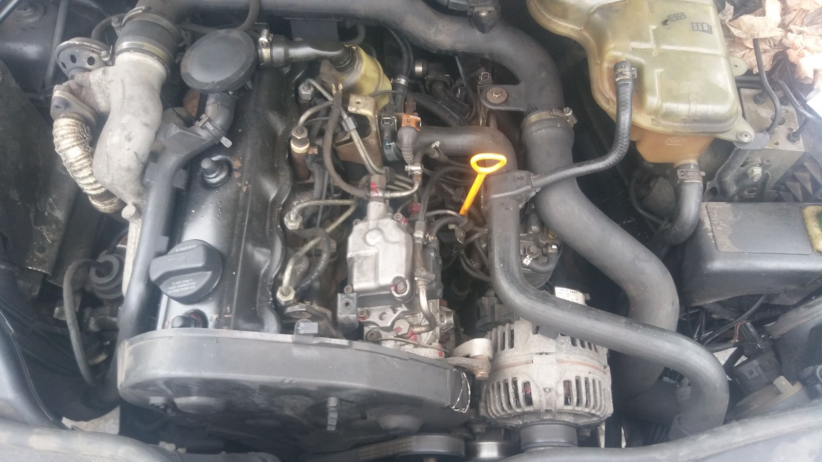 IMG-20190209-WA0033.jpeg
