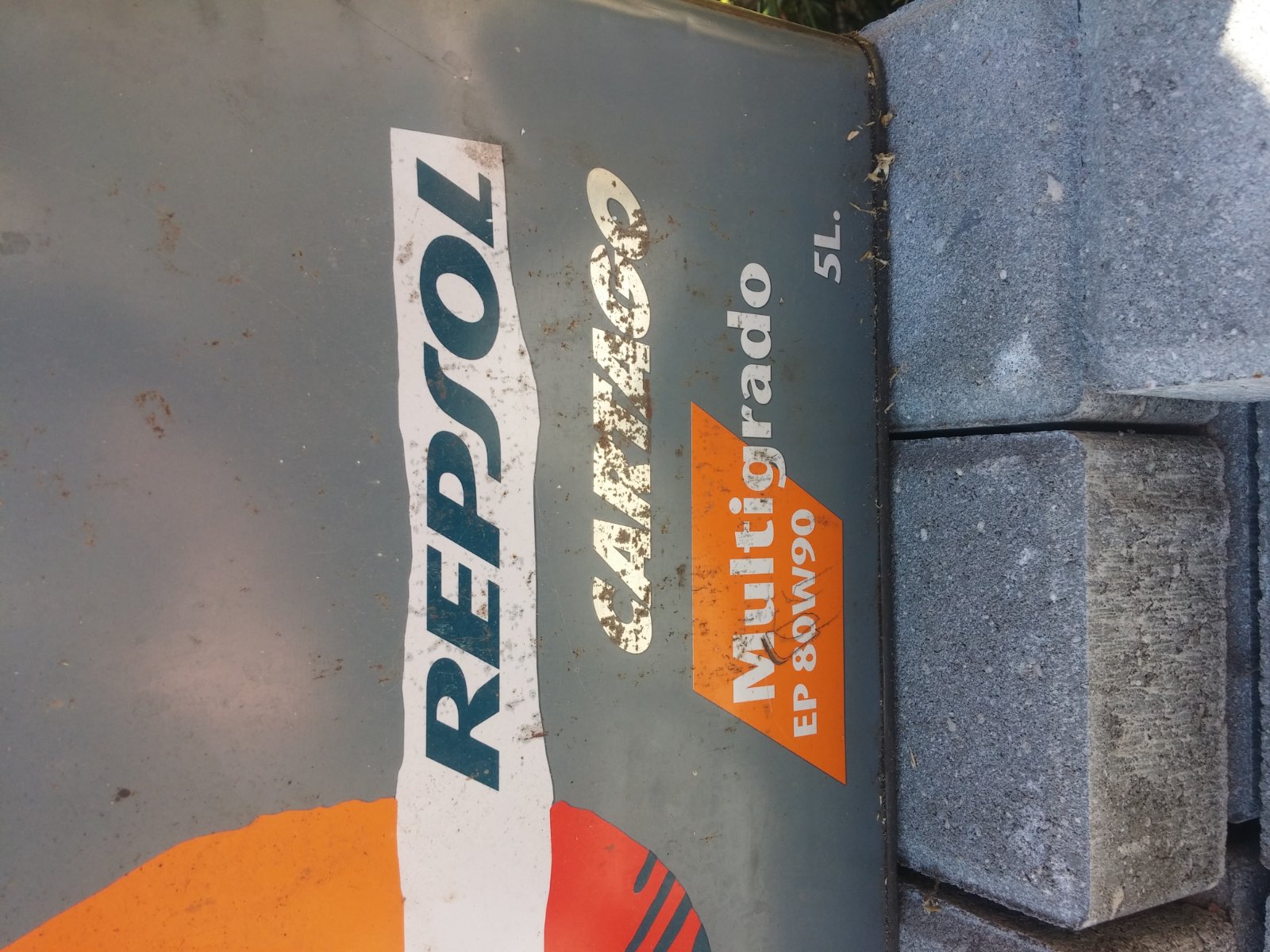 20190404_133134.jpg