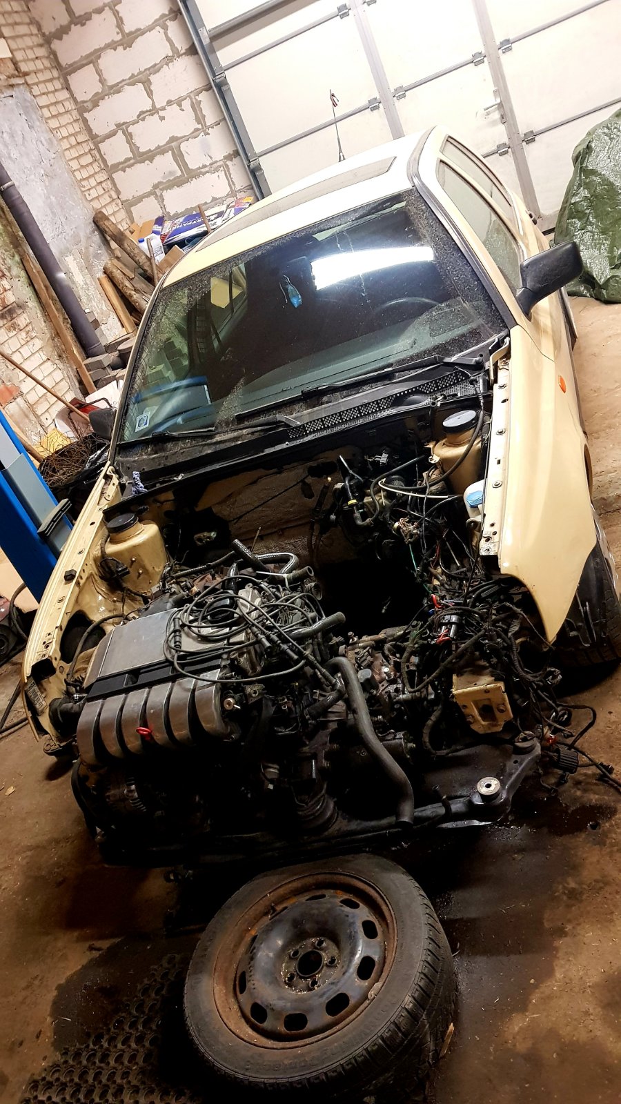20190402_222652.jpg