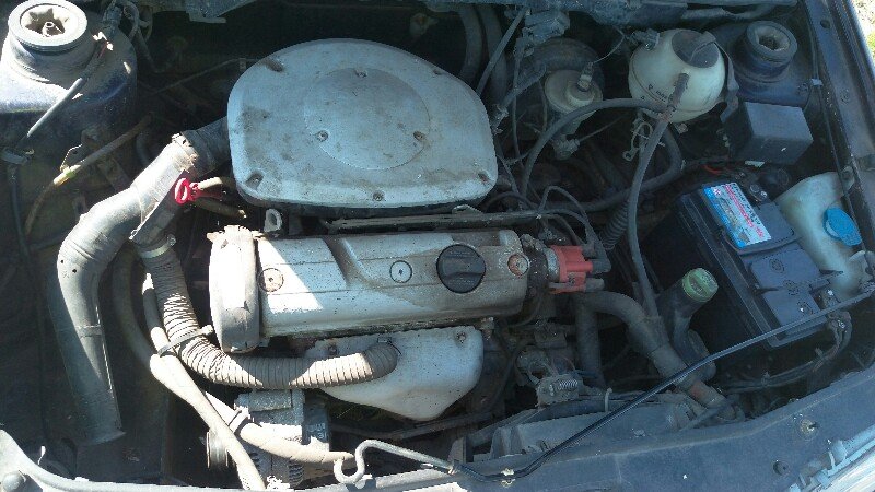 IMAG0740-800x450.jpg
