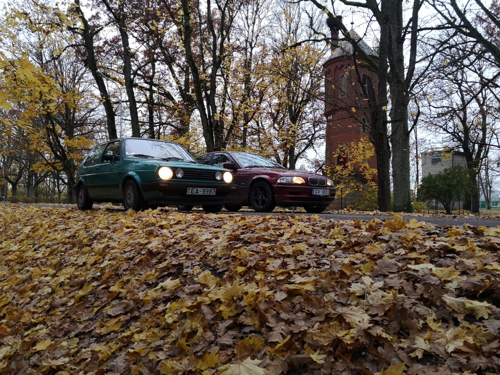 IMG_20201101_161346.jpg