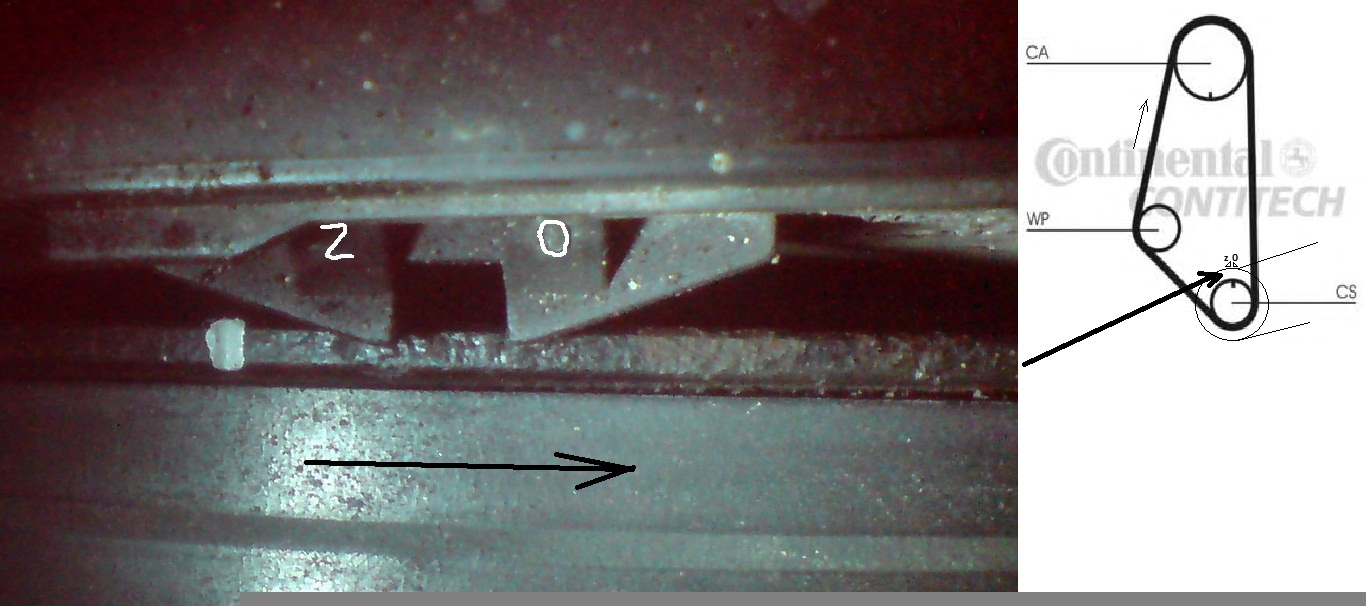 DSC00167c.jpg