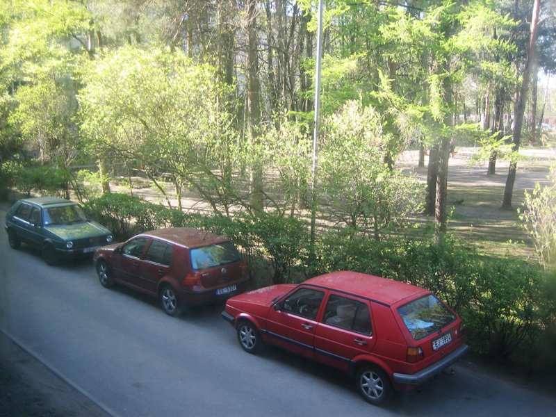 Pavasaris 180.JPG