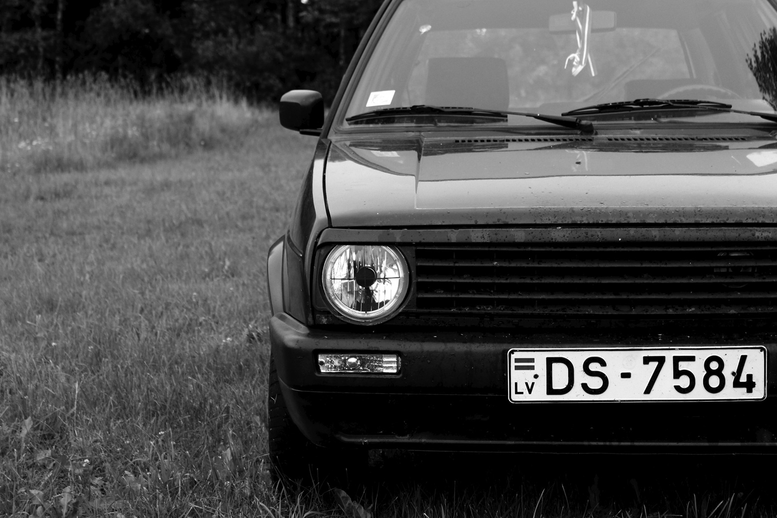 vw_1.jpg