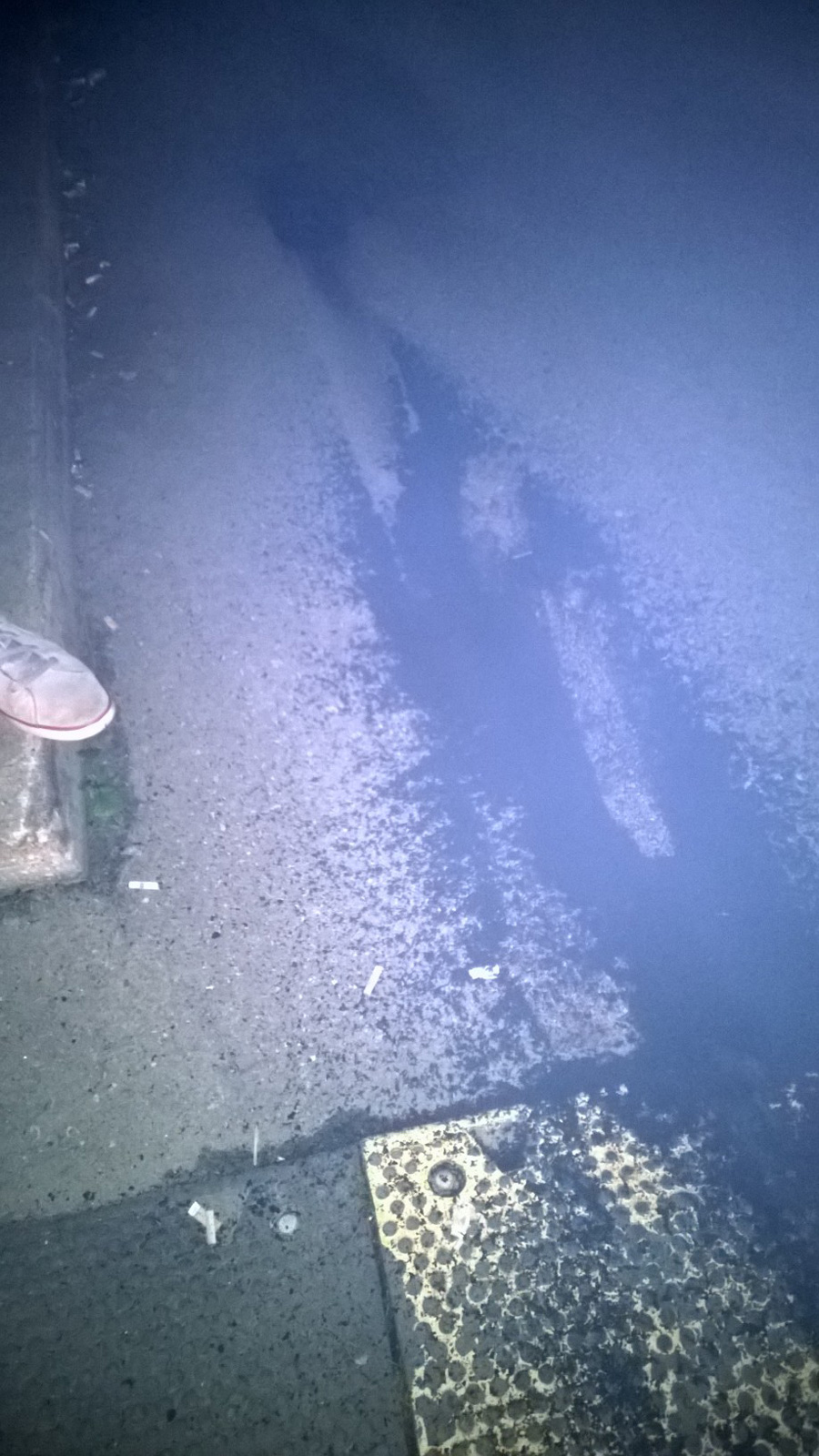 WP_20140822_007.jpg