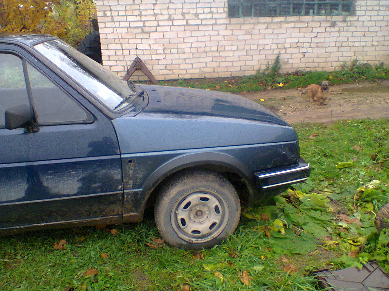 Fotoattēls0006.jpg