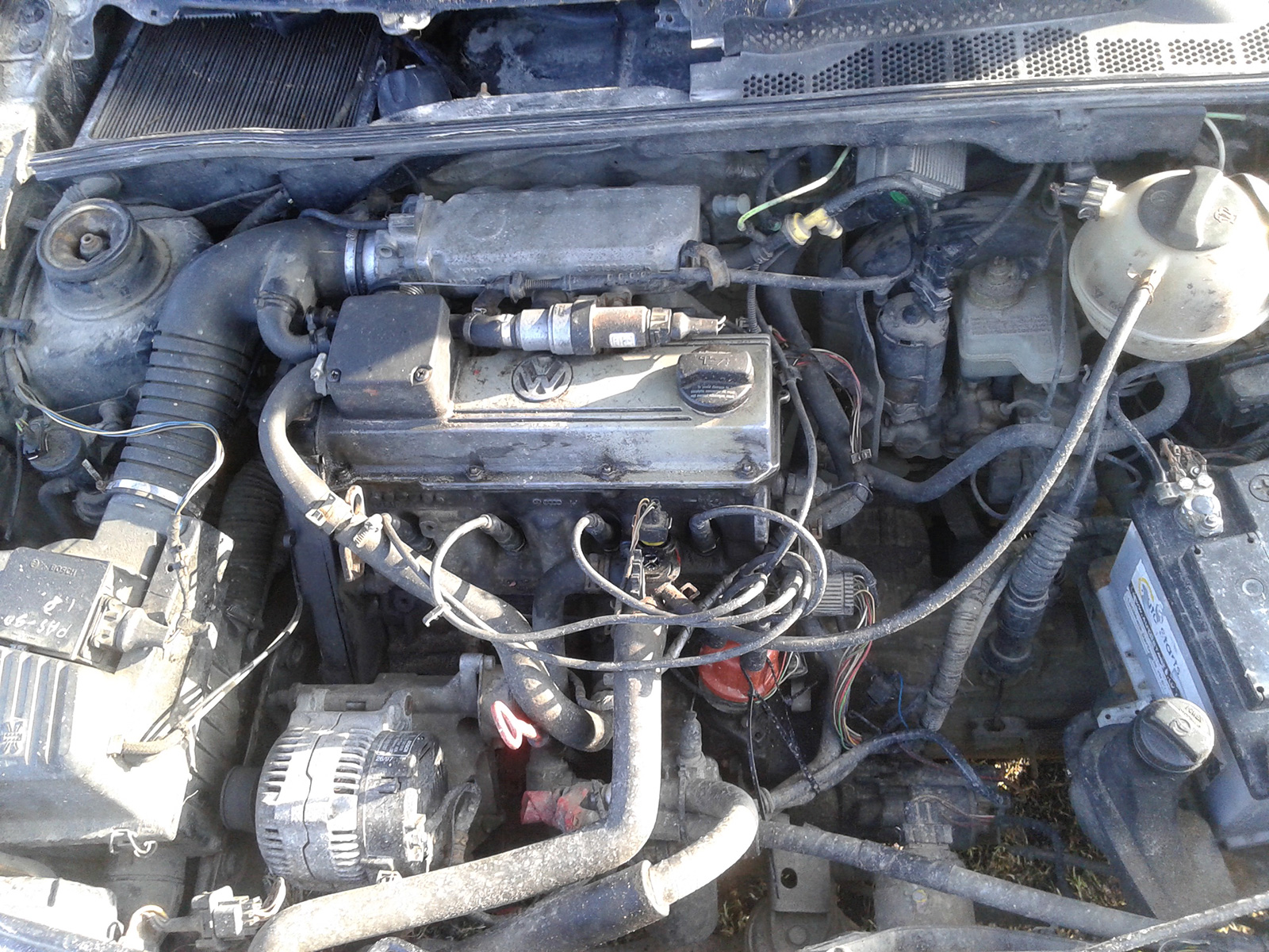 20150305_153931.jpg