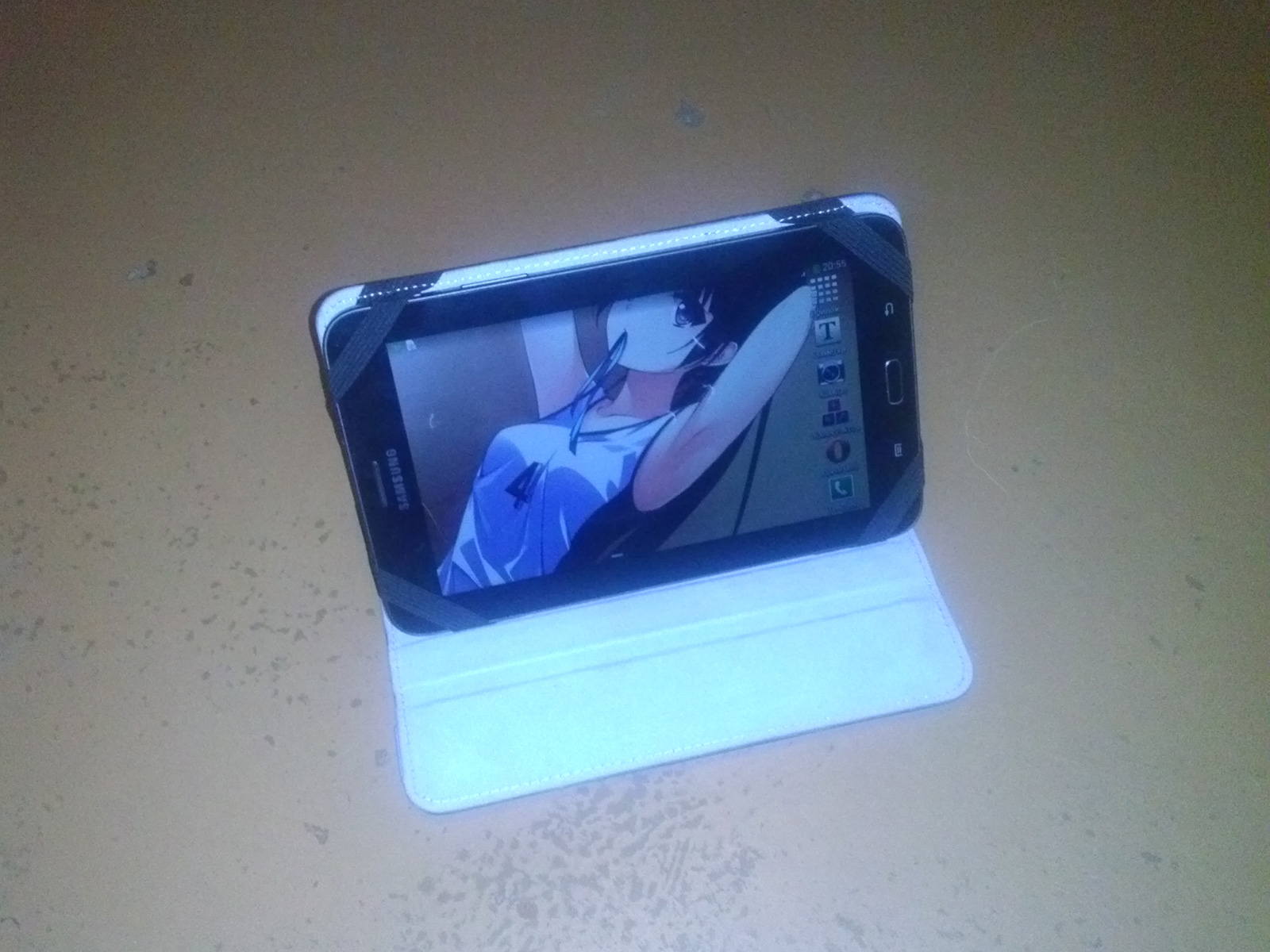 CAM00358.jpg