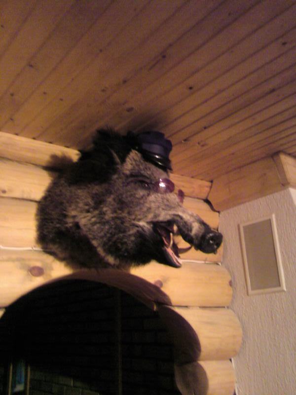 Fotoattēls-0021.jpg