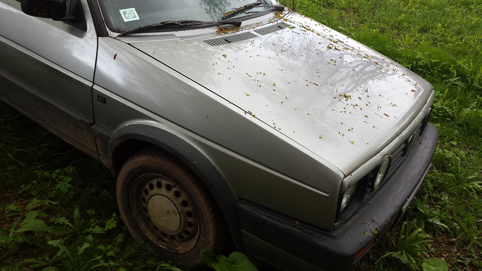 20150514_131205.jpg