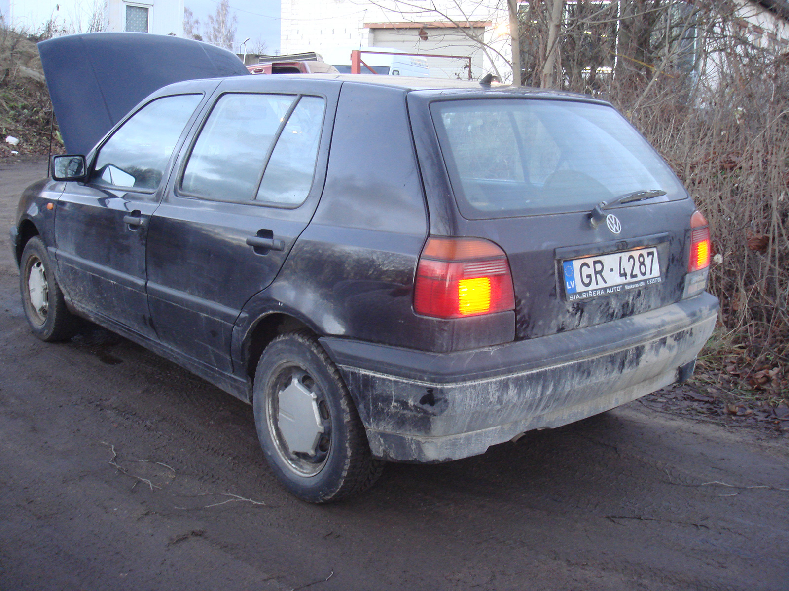DSC09436.JPG